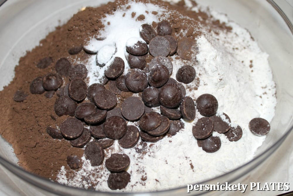bowl of cocoa powder, flour, and chocolate chips