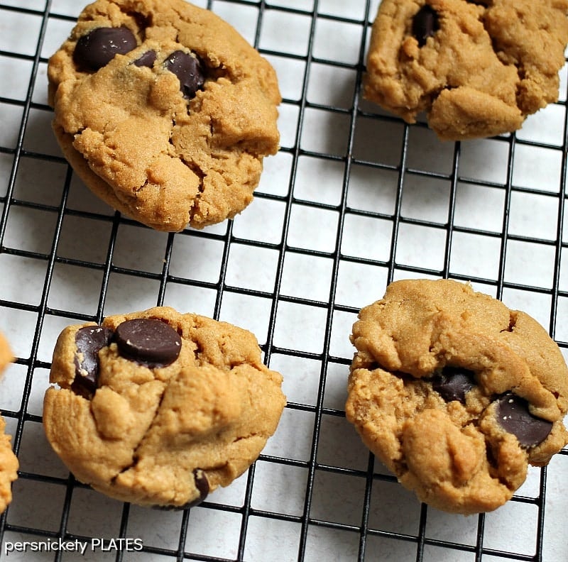 Easiest Ever Peanut Butter Chocolate Chip Cookies - five ingredients, a bowl, a mixer, an oven, and you're in business! | Persnickety Plates