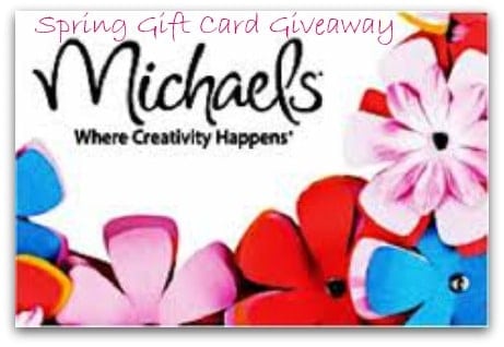 {Giveaway} Michaels Gift Card » Persnickety Plates
