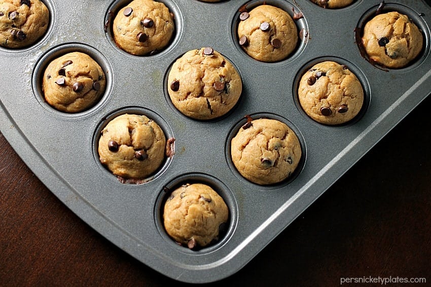 Peanut Butter Banana Chocolate Chip Blender Muffins - a simple, flourless muffin might right in the blender! | Persnickety Plates