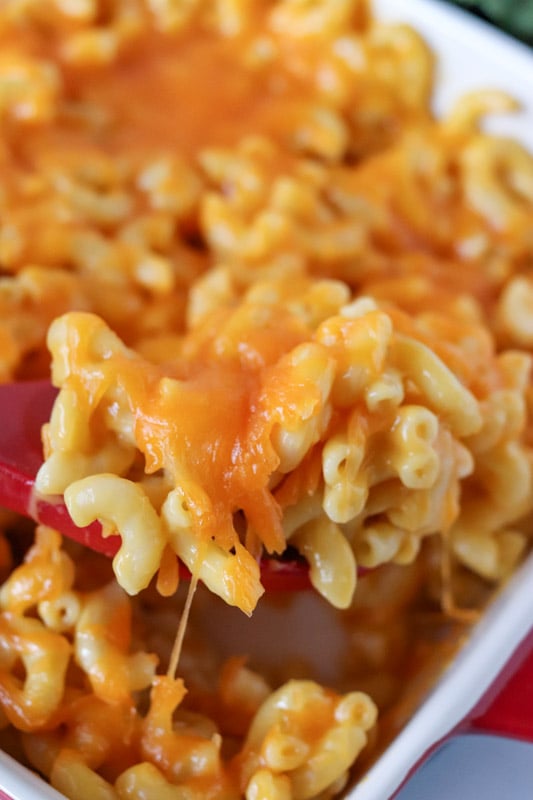closeup of spoonful of the best macaroni and cheese