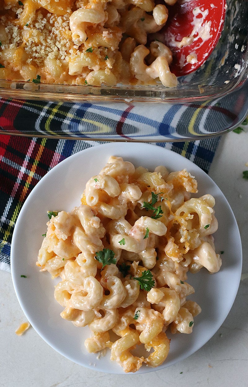 best baked mac n cheese plated on white plate