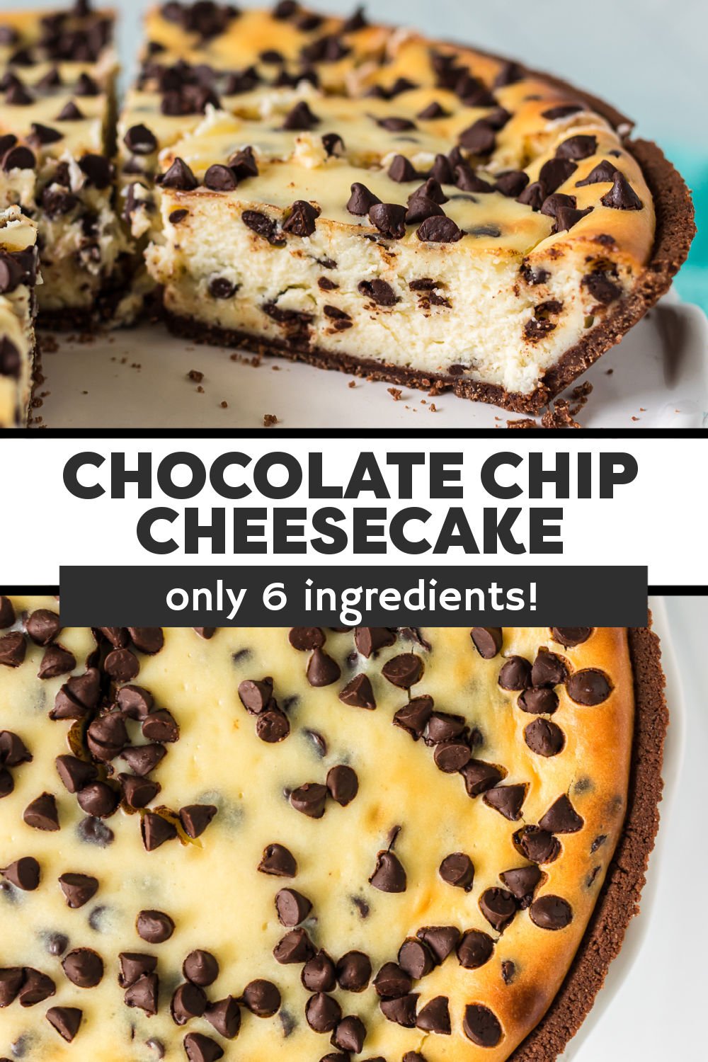Simple chocolate chip cheesecake in a chocolate pie crust is made with just six ingredients. Creamy cheesecake filled with mini chocolate chips will easily be one of your new favorite cheesecake recipes. | www.persnicketyplates.com