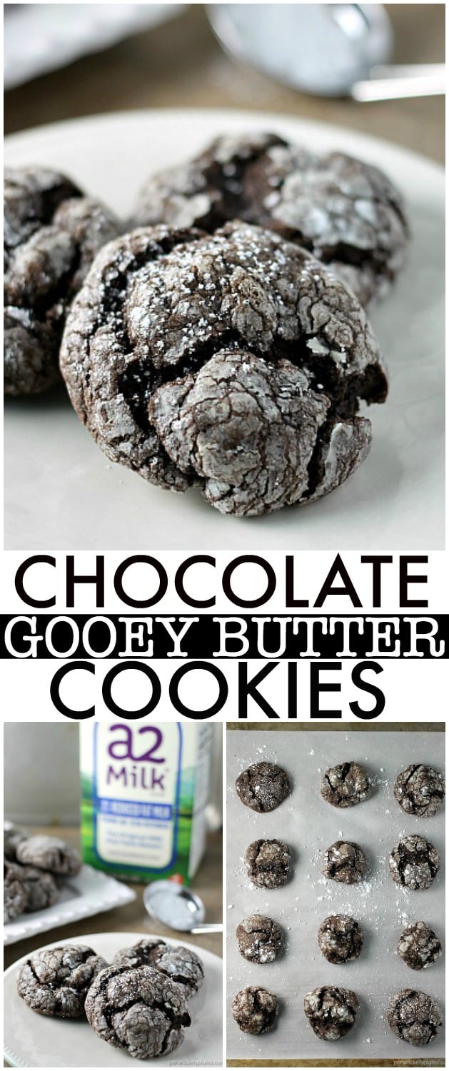 Chocolate Gooey Butter Cookies are light and pillowy and melt in your mouth! At only six ingredients, they just might be your new favorite cookie! | www.persnicketyplates.com