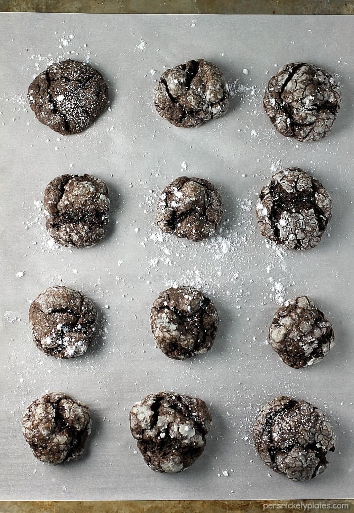 overhead shot of chocolate gooey butter cookies sprinkled with powdered sugar