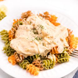 white plate with tri-colored noodles topped with creamy italian chicken.