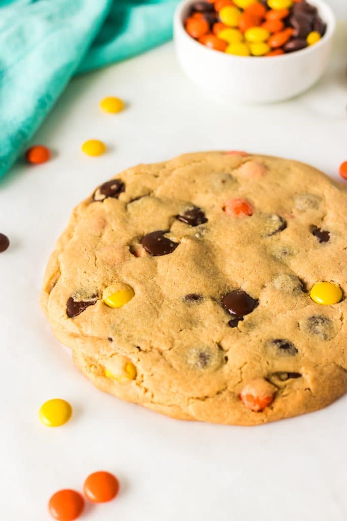 side view of a giant peanut butter cookie surrounded by reese's pieces.