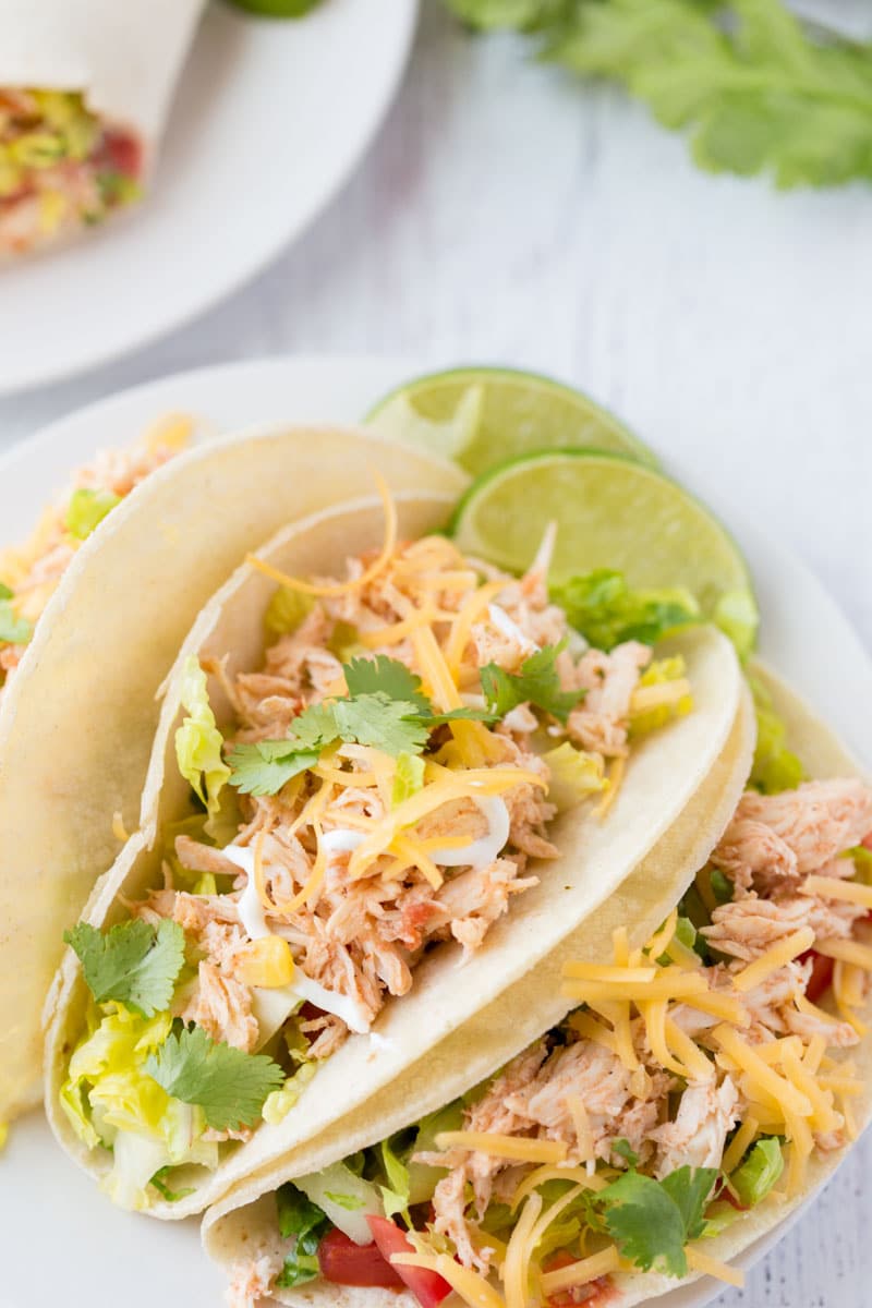 Three ingredient Crock Pot Salsa Chicken is in my regular dinner rotation because it's so easy & so good! Flavorful and versatile, this crockpot chicken breast recipe can be made into burritos, taco bowls, nachos, whatever you feel like! | www.persnicketyplates.com