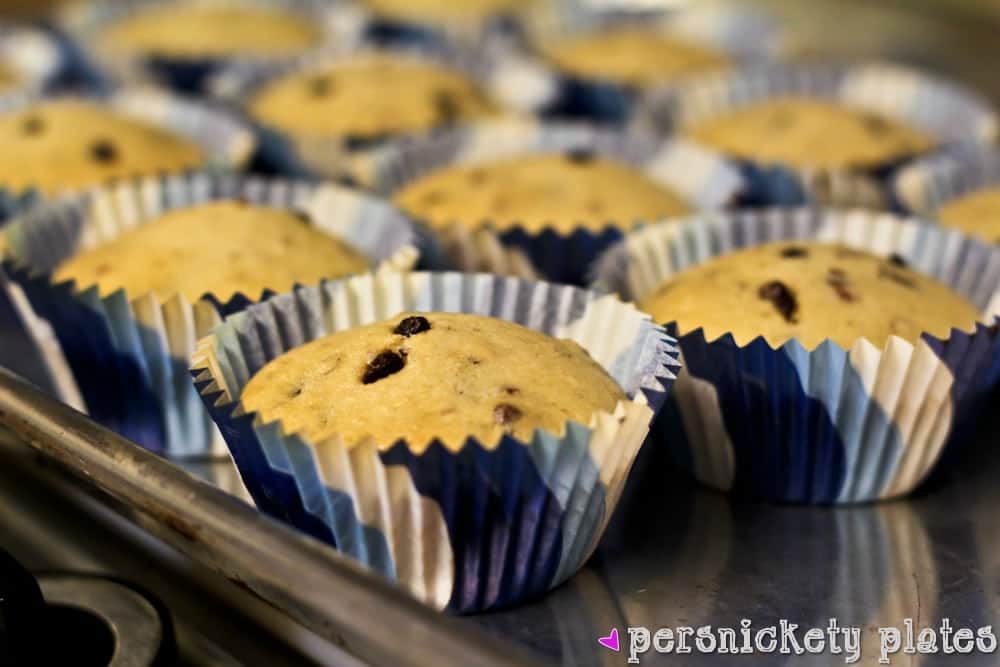 Vegan Chocolate Chip Pecan Cupcakes | Persnickety Plates