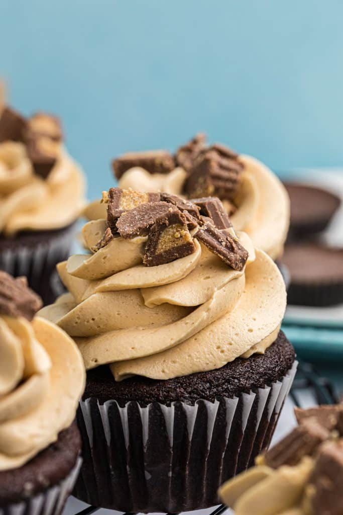 chocolate cupcakes topped with peanut butter frosting and mini peanut butter cups.