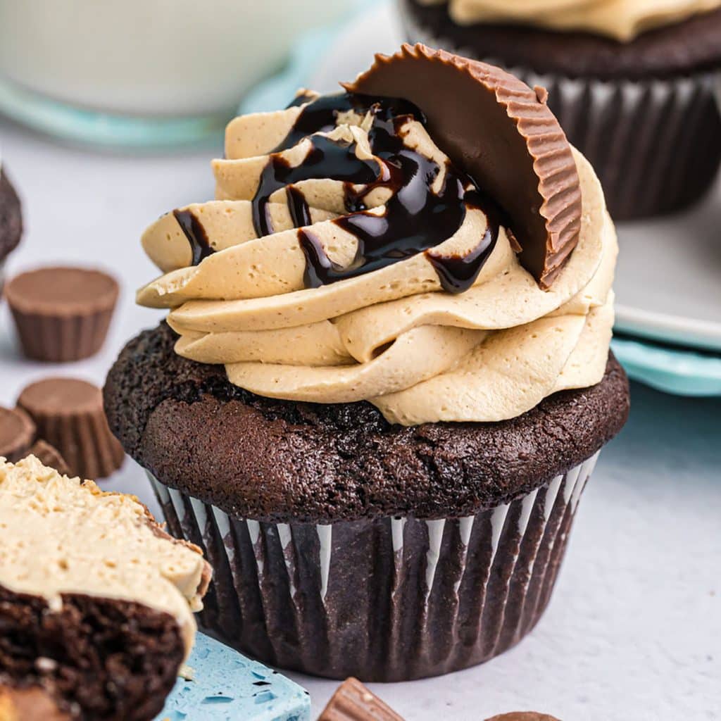 chocolate cupcake with peanut butter frosting drizzled with chocolate.