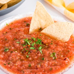 closeup of homemade salsa with tortilla chips stuck in