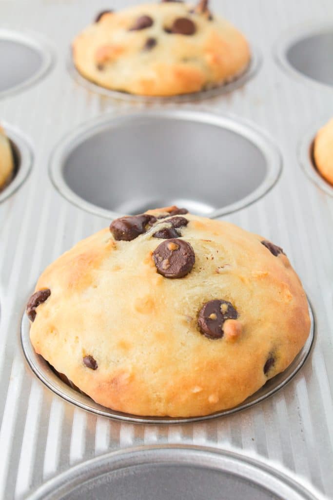 closeup of a chocolate chip muffin in a muffin tray.