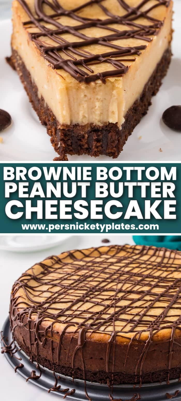Brownie Bottom Peanut Butter Cheesecake has a chewy brownie layer topped with a creamy peanut butter cheesecake and drizzled with rich chocolate. The perfect sinful cheesecake for large gatherings or just because. | www.persnicketyplates.com