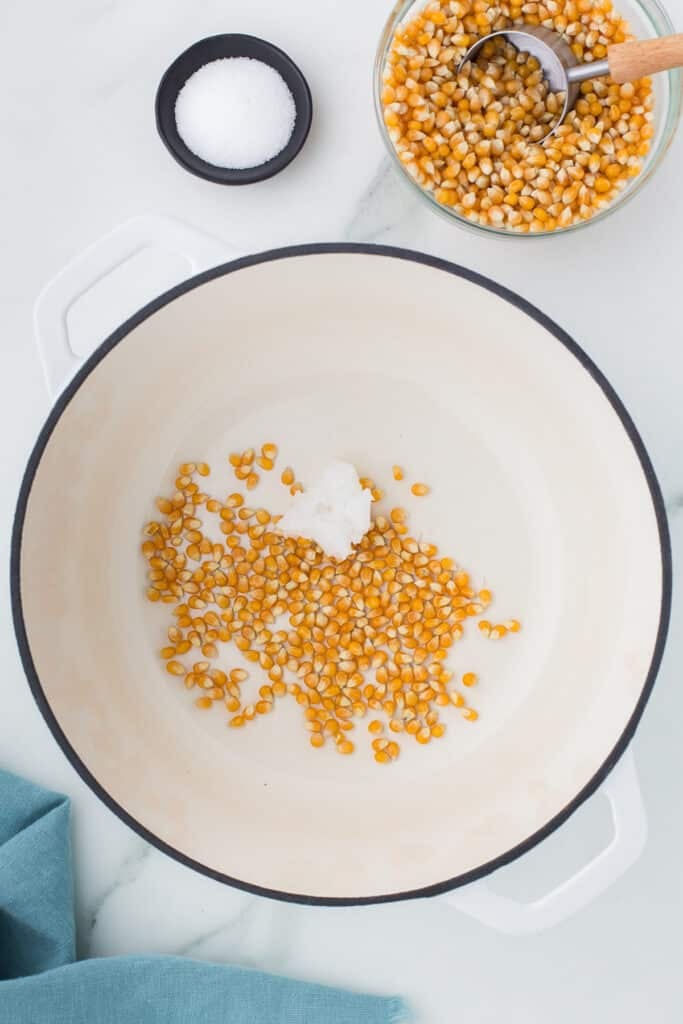 overhead shot of popcorn kernels & coconut oil in a pot.