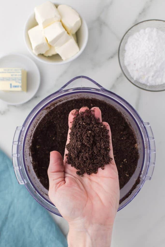 overhead shot of a hand holding oreo crumbs that look like dirt.