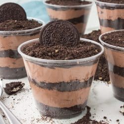 clear cup of layered chocolate pudding & oreo crumbs to look like dirt.