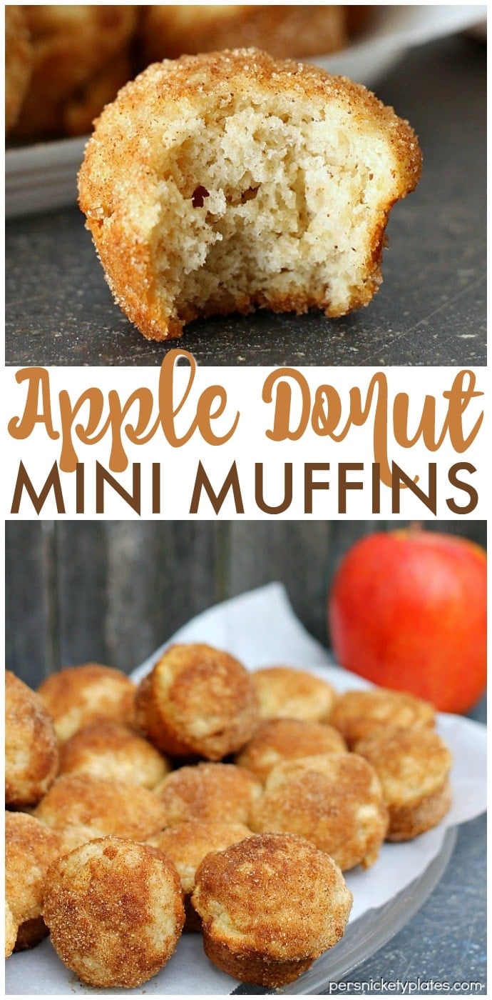 Apple Donut Mini Muffins - Bite sized mini muffins that taste just like cider mill cinnamon-sugar donuts! | www.persnicketyplates.com