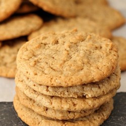Old Fashioned Plain Oatmeal Cookies | Persnickety Plates