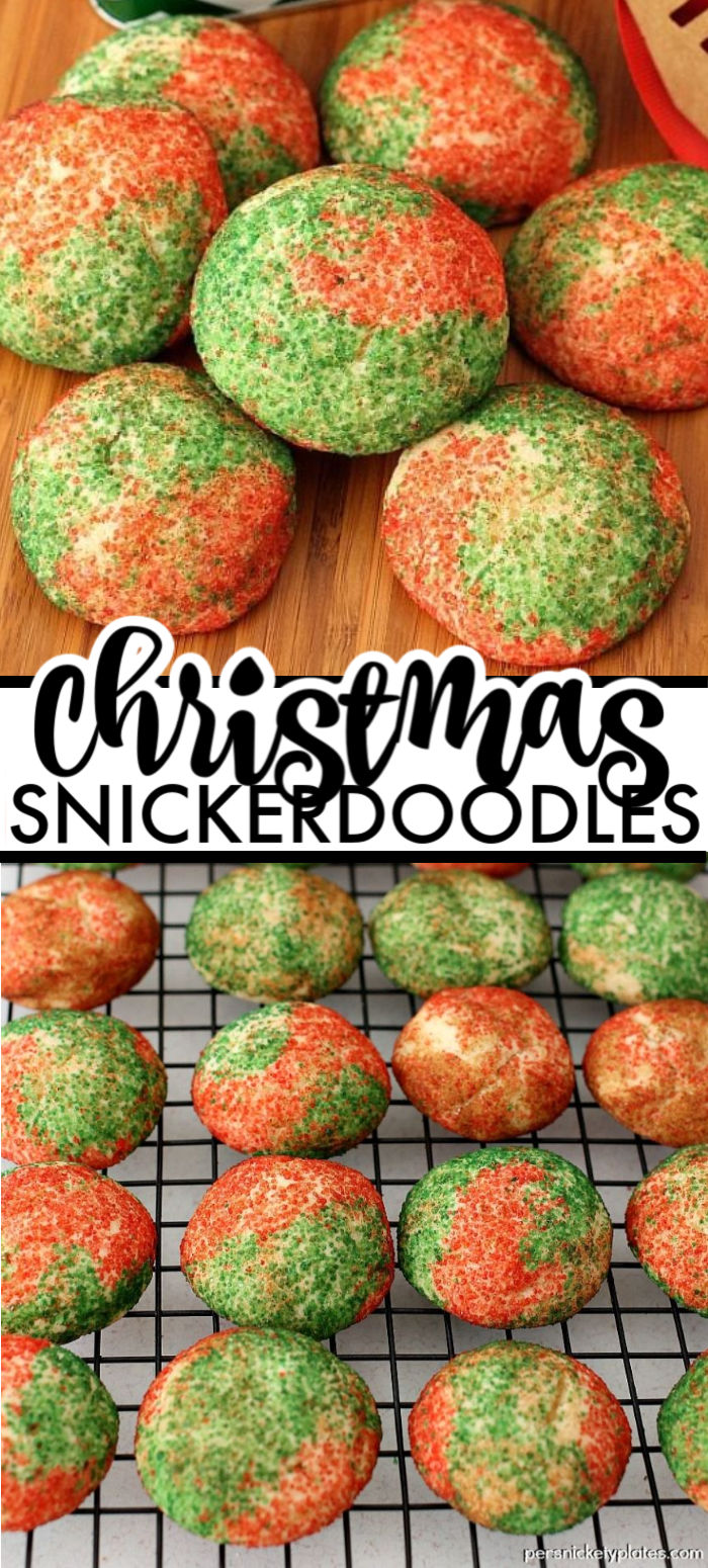 Christmas Snickerdoodles take the classic snickerdoodle cookie and rolls them in red and green sugar to give them a festive twist. This recipe makes a large batch which is perfect for Christmas cookie exchanges. | www.persnicketyplates.com #cookies #christmascookies #snickerdoodles #cookieexchange #easyrecipe