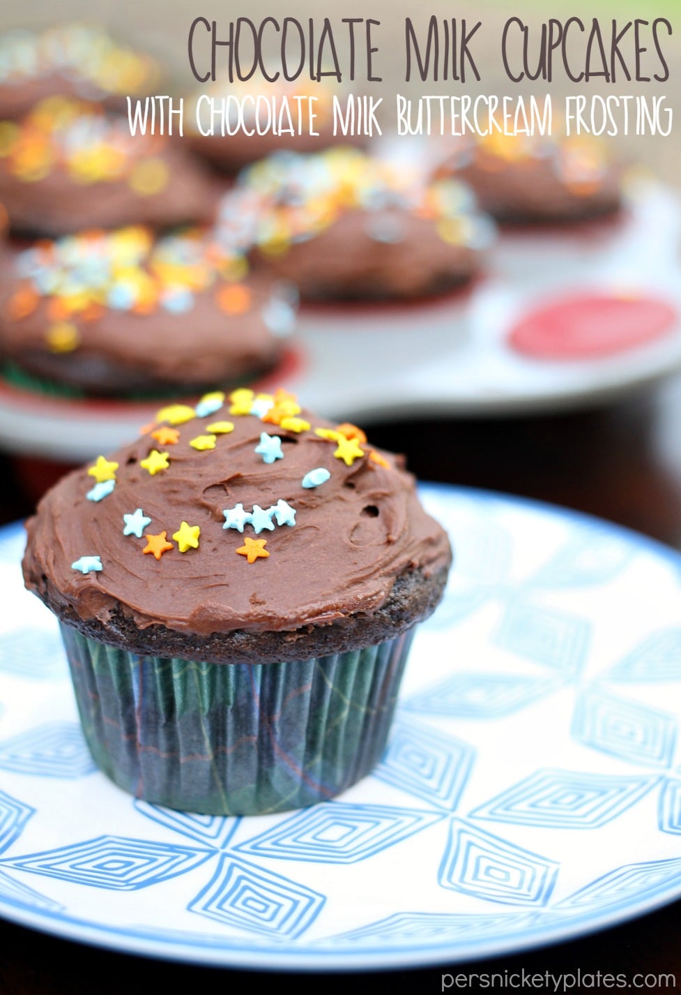 Fake Cupcakes with Chocolate and Vanilla Frosting