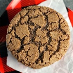 closeup of single chocolate crinkle cookie on buffalo plaid plate