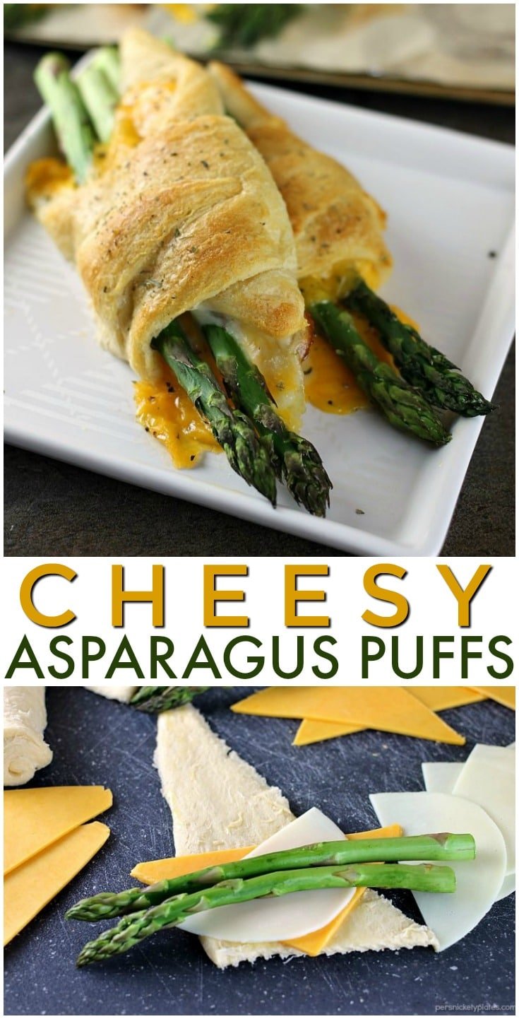 Cheesy Asparagus Puffs are a quick appetizer or side dish. Fresh asparagus wrapped up with provolone and cheddar cheeses and baked in a crescent roll - easy, cheesy, and delicious! | www.persnicketyplates.com #cheese #cheesy #appetizer #asparagus #vegetarian