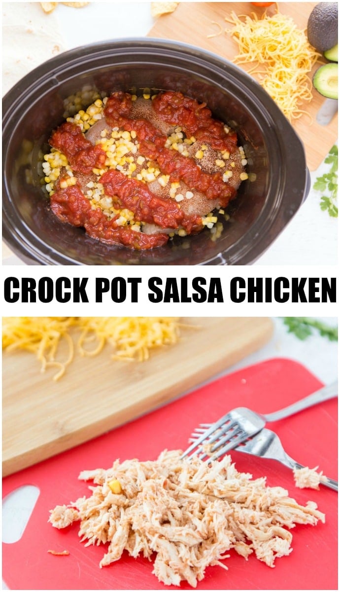 Three ingredient Crock Pot Salsa Chicken is in my regular dinner rotation because it's so easy & so good! Flavorful and versatile, this slow cooker chicken can be made into burritos, taco bowls, nachos, whatever you feel like! | www.persnicketyplates.com