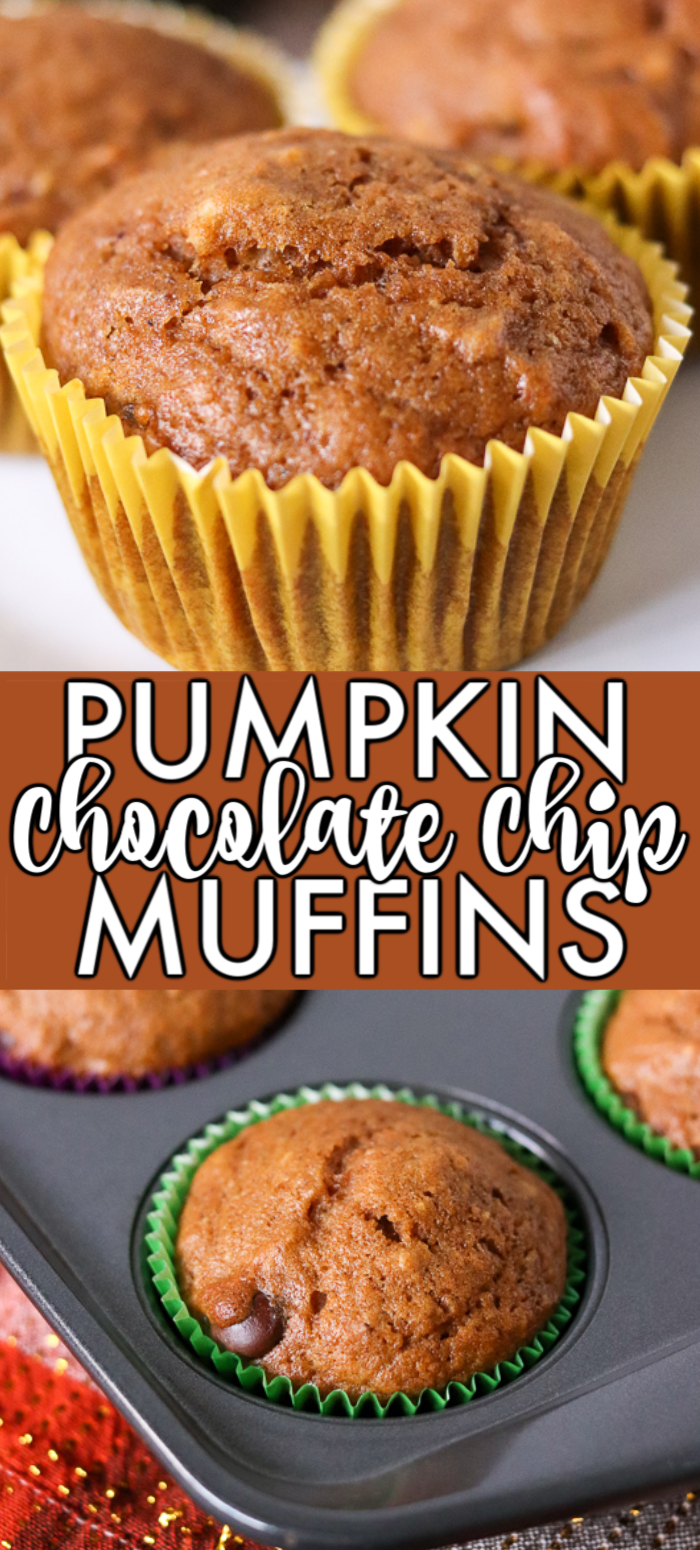 Pumpkin Chocolate Chip Muffins are the perfect way to kick off the fall and holiday baking season! These easy pumpkin muffins are made from scratch and don't even require a mixer. | www.persnicketyplates.com #muffins #chocolatechip #pumpkinmuffins #bakefromscratch #easyrecipe #pumpkin #dessert