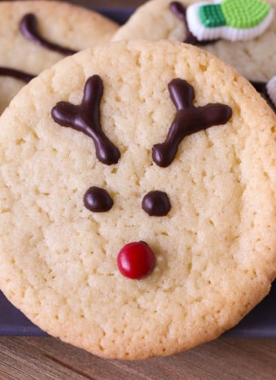 close up of reindeer cookie