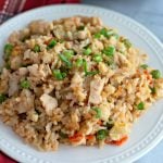 white plate of chicken fried rice