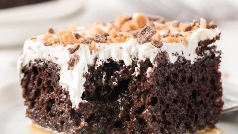 Easy Better Than Sex Cake