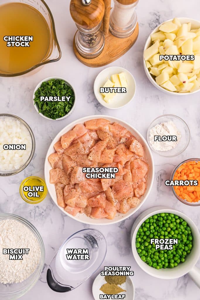 overhead shot of labeled ingredients laid out to make chicken and dumplings.