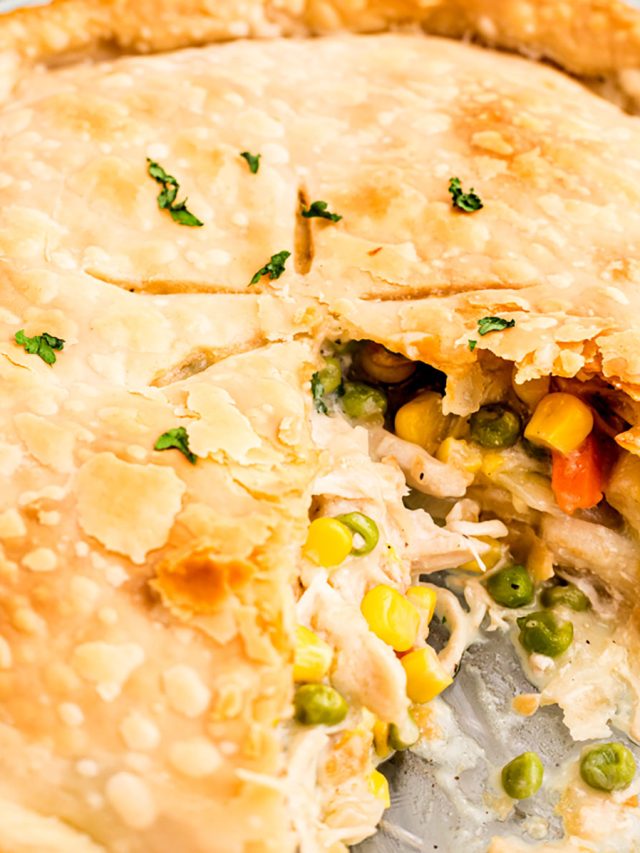 cropped-easy-chicken-pot-pie-SQUARE.jpg