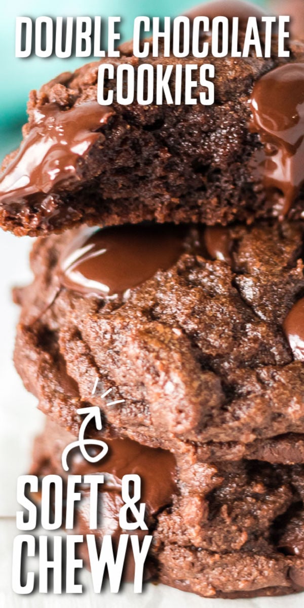 These thick and chewy Double Chocolate Cookies will make all your chocolate loving dreams come true! A chocolate cookie, filled with chocolate chips - you better be ready for chocolate overload! If you love chocolate cookies, you're going to love this easy recipe. | www.persnicketyplates.com