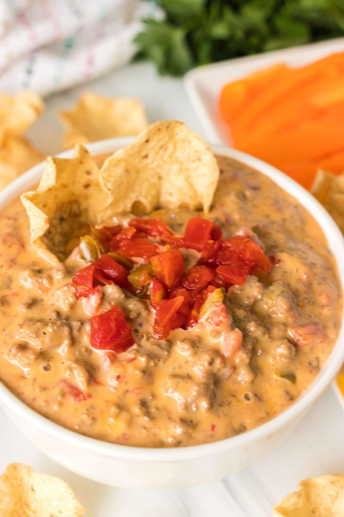 Discover the Perfect Combination of Ingredients to Make Delicious Rotel Dip