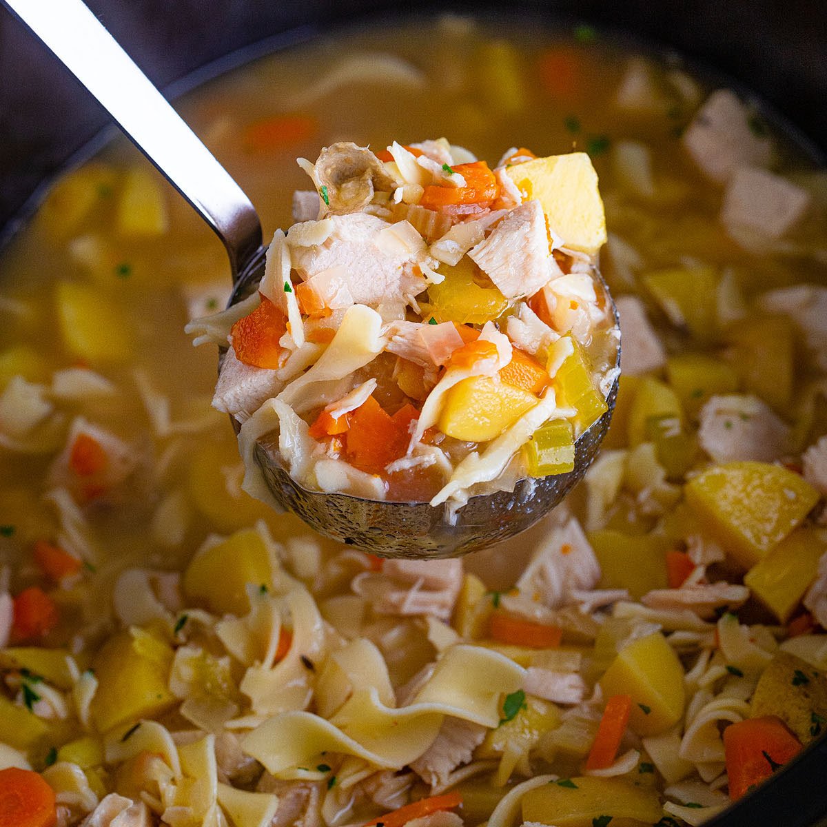 Homemade Turkey Noodle Soup - Spend With Pennies