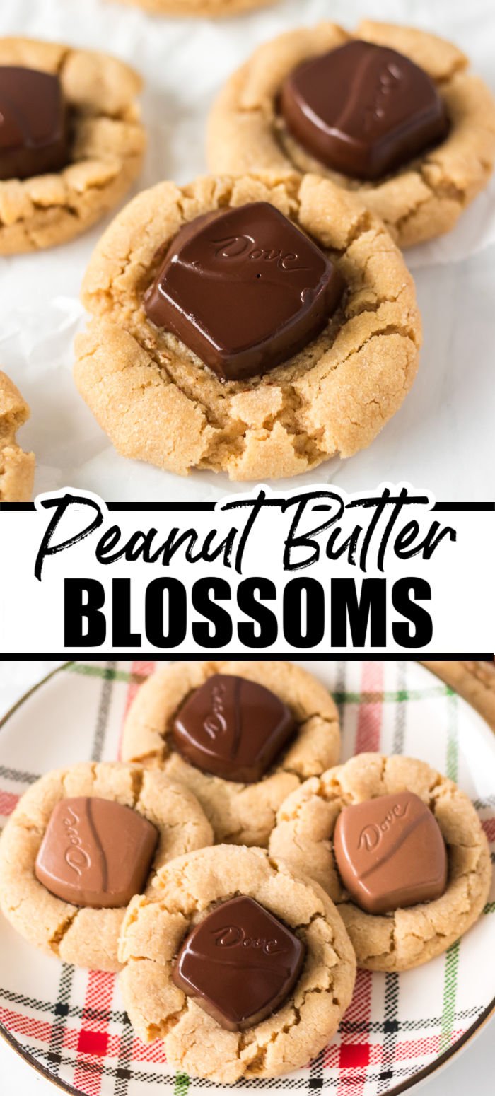Peanut Butter Blossoms are a holiday classic cookie that can be enjoyed all year long. A soft peanut butter cookie is rolled in granulated sugar and then topped with a Hershey Bell or Dove Chocolate (or Hershey's Kiss if you're a traditionalist). | www.persnicketyplates.com