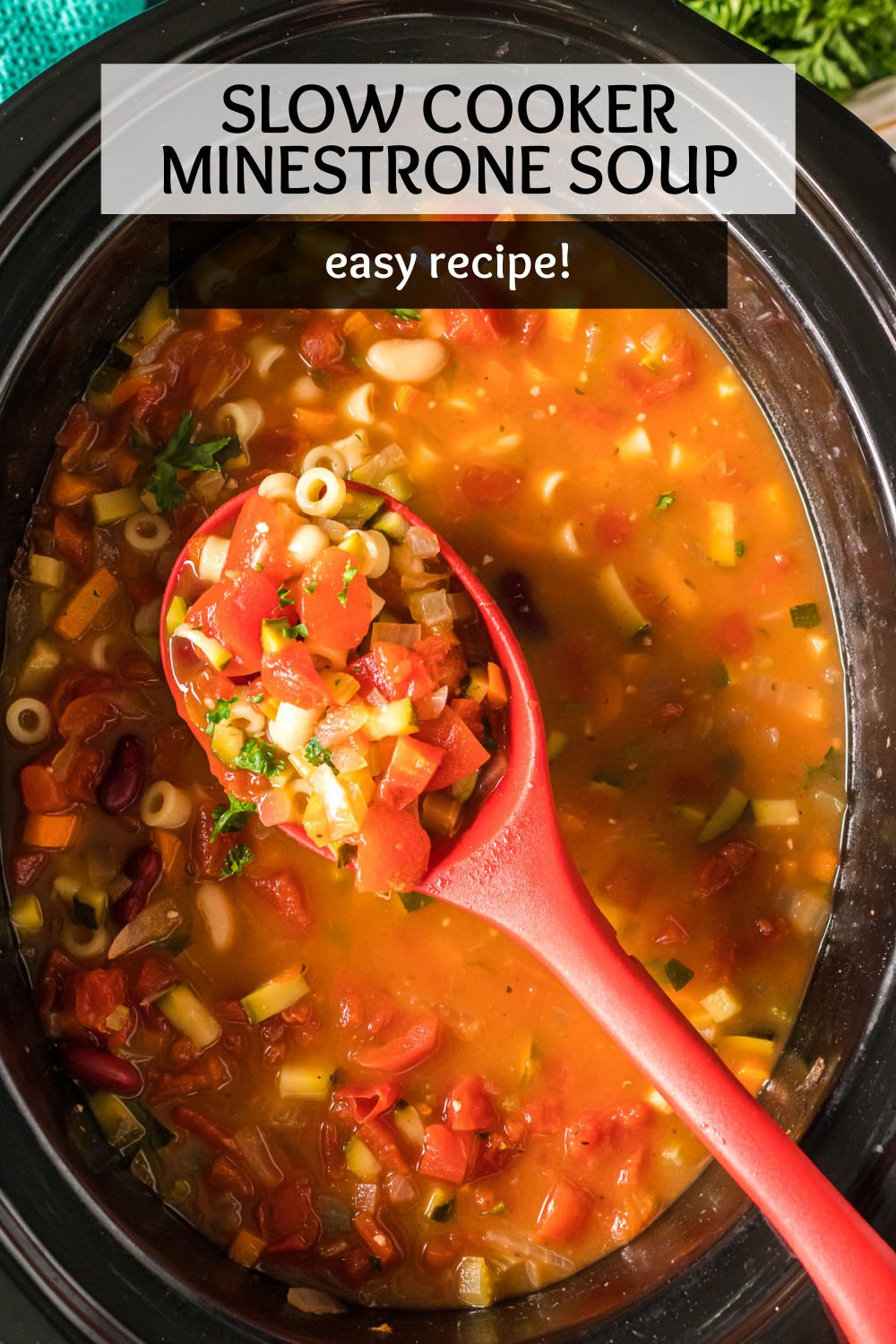 Slow Cooker Minestrone Soup -  This Italian favorite features a full-bodied broth seasoned with Italian herbs, onions, and garlic that is slow-cooked all day with a variety of fresh vegetables, protein-packed beans, and cute ditalini pasta. | www.persnicketyplates.com