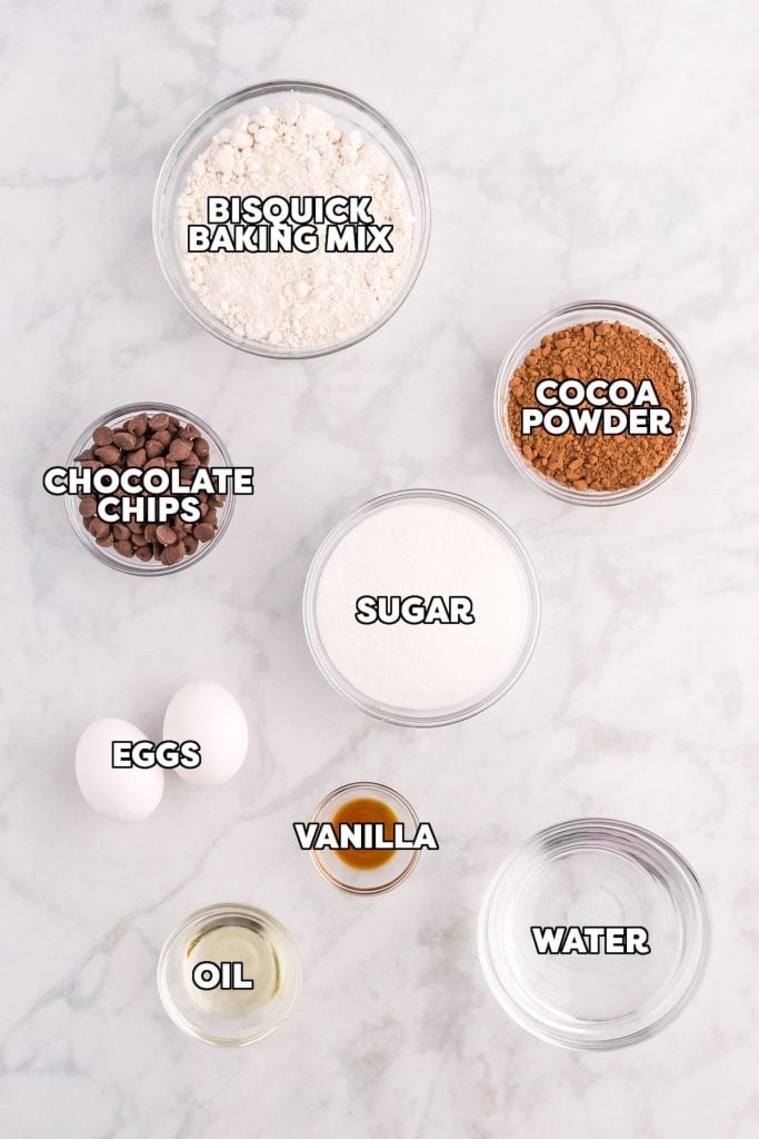 overhead shot of labeled ingredients to make belgian chocolate waffles.