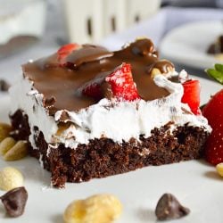 plate of layered strawberry brownie delight surrounded by peanuts and chocolate chips.
