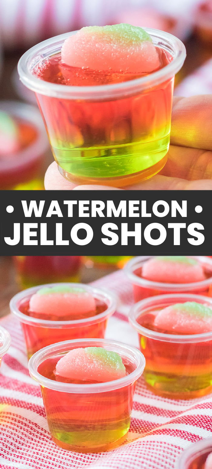 These easy layered watermelon jello shots are so good! Green and pink jello give these shots their watermelon look with a sour watermelon candy on top for fun! Perfect for a warm weather treat. | www.persnicketyplates.com