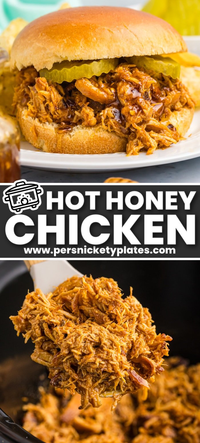 Slow Cooker Hot Honey Chicken Sandwiches are an easy, spicy dinner idea made right in the crock pot. Pulled chicken cooked in a hot honey sauce and then piled onto your favorite bun. The perfect slow cooker meal for any time of year! | www.persnicketyplates.com