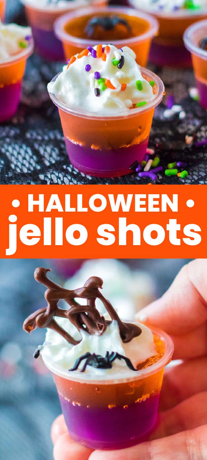 Perfectly spooky layered Halloween Jello Shots are made with vodka and will be a huge hit at your next Halloween party. Orange and purple jello are layered together then topped with whipped cream, Halloween sprinkles, and chocolate spider webs. Simple to make and fun to enjoy! | www.persnicketyplates.com