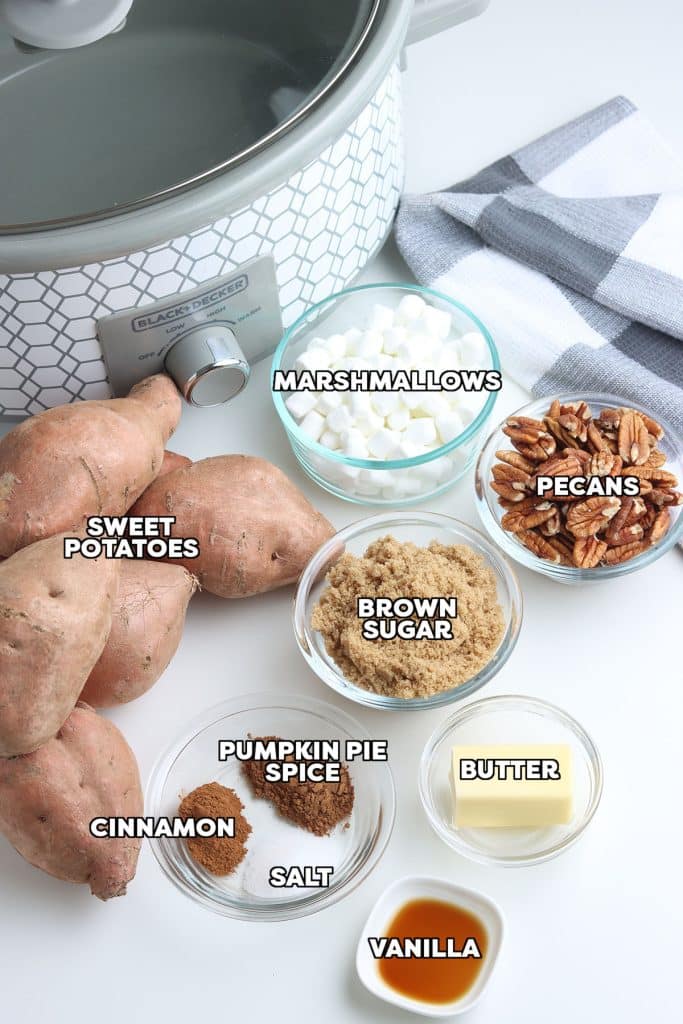 overhead shot of labeled ingredients to make sweet potato casserole.