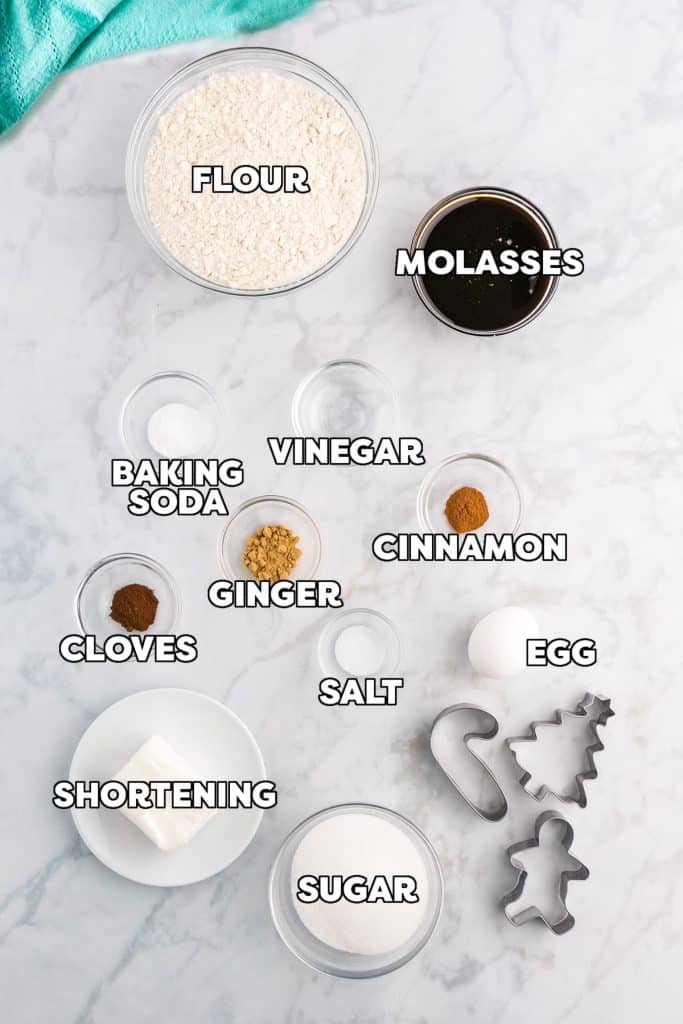 overhead shot of labeled ingredients for gingerbread cookies.