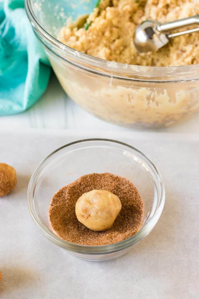 cookie dough ball in a bowl of cinnamon & sugar.