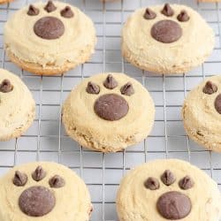 bear paw cookies with chocolate chip prints.