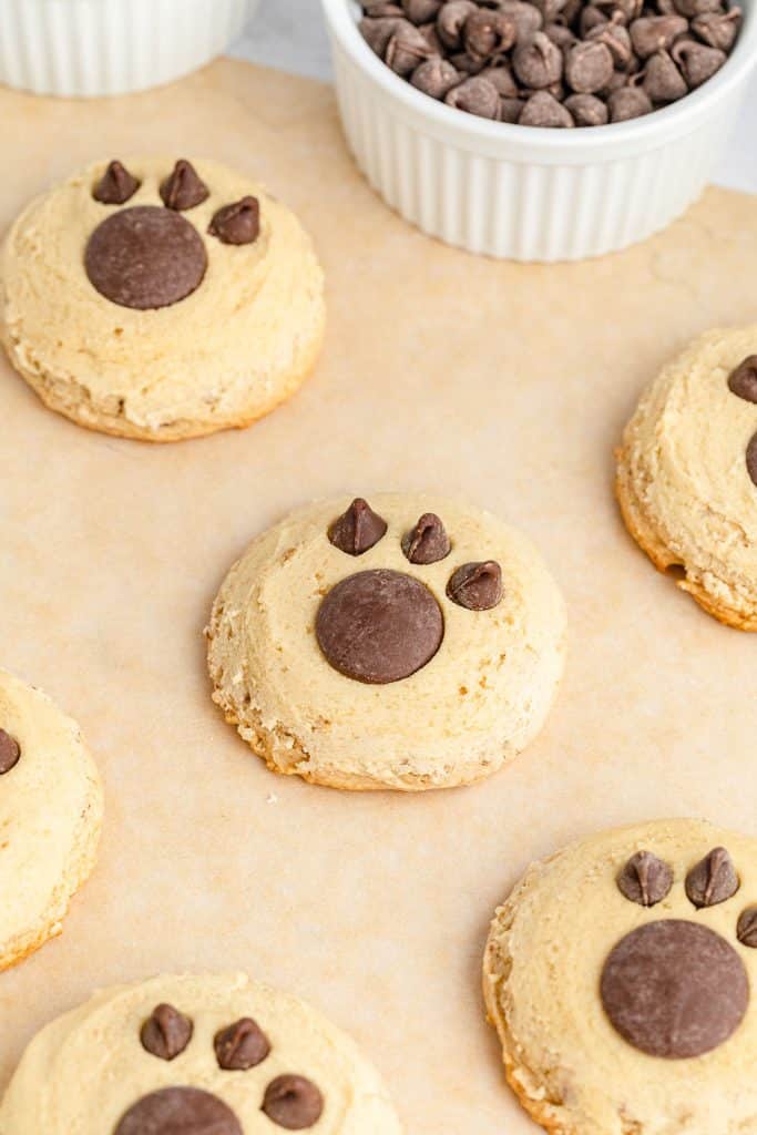 bear paw cookies with chocolate chip paws.