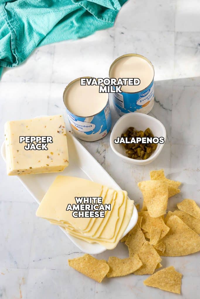 overhead shot of labeled ingredients laid out to make queso blanco.